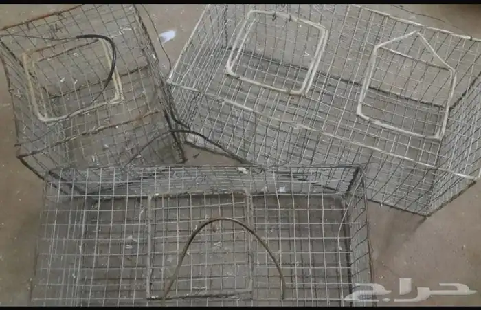 اقفاص للطيور 0