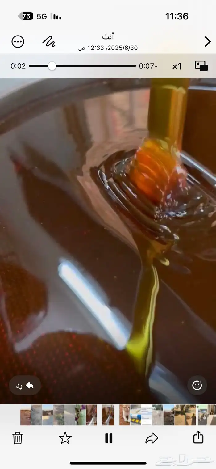 للبيع عسل طلح حائل للعام 1447 0