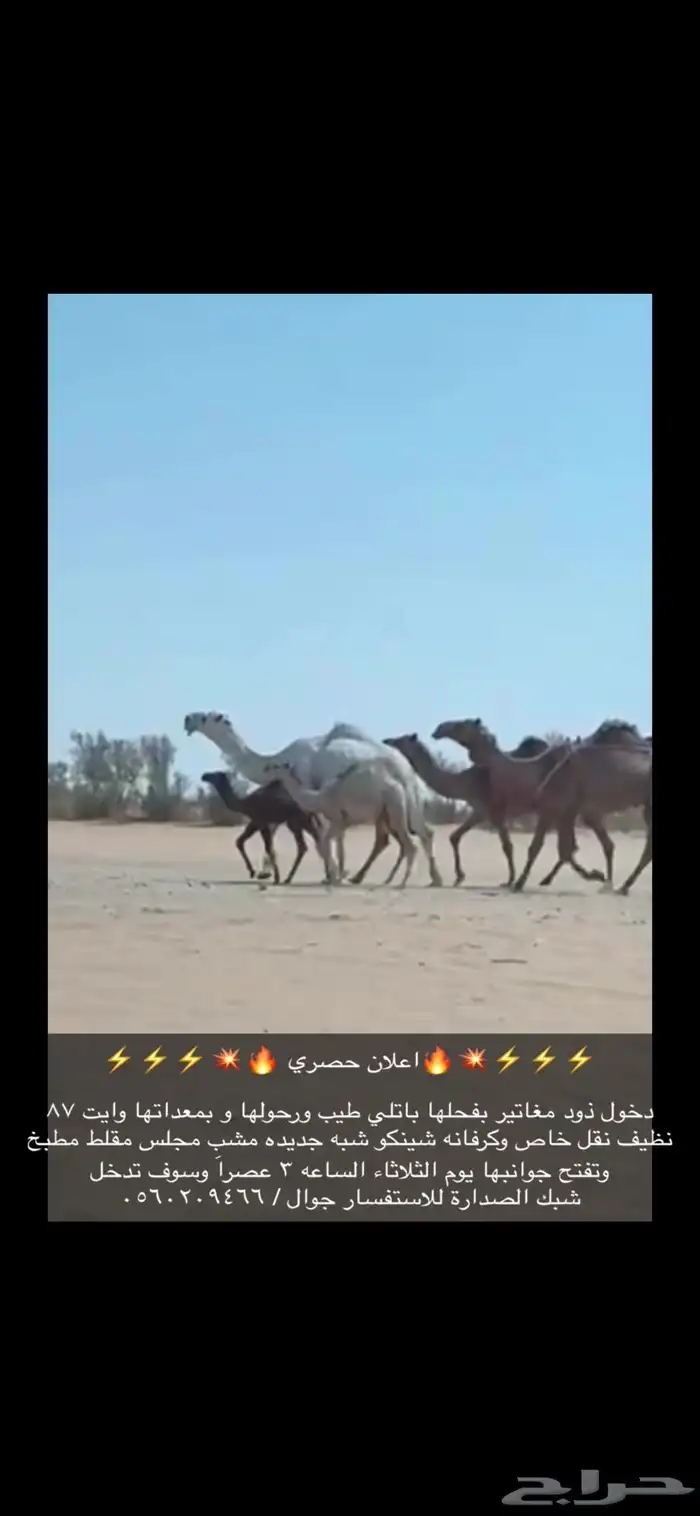 ذود 2