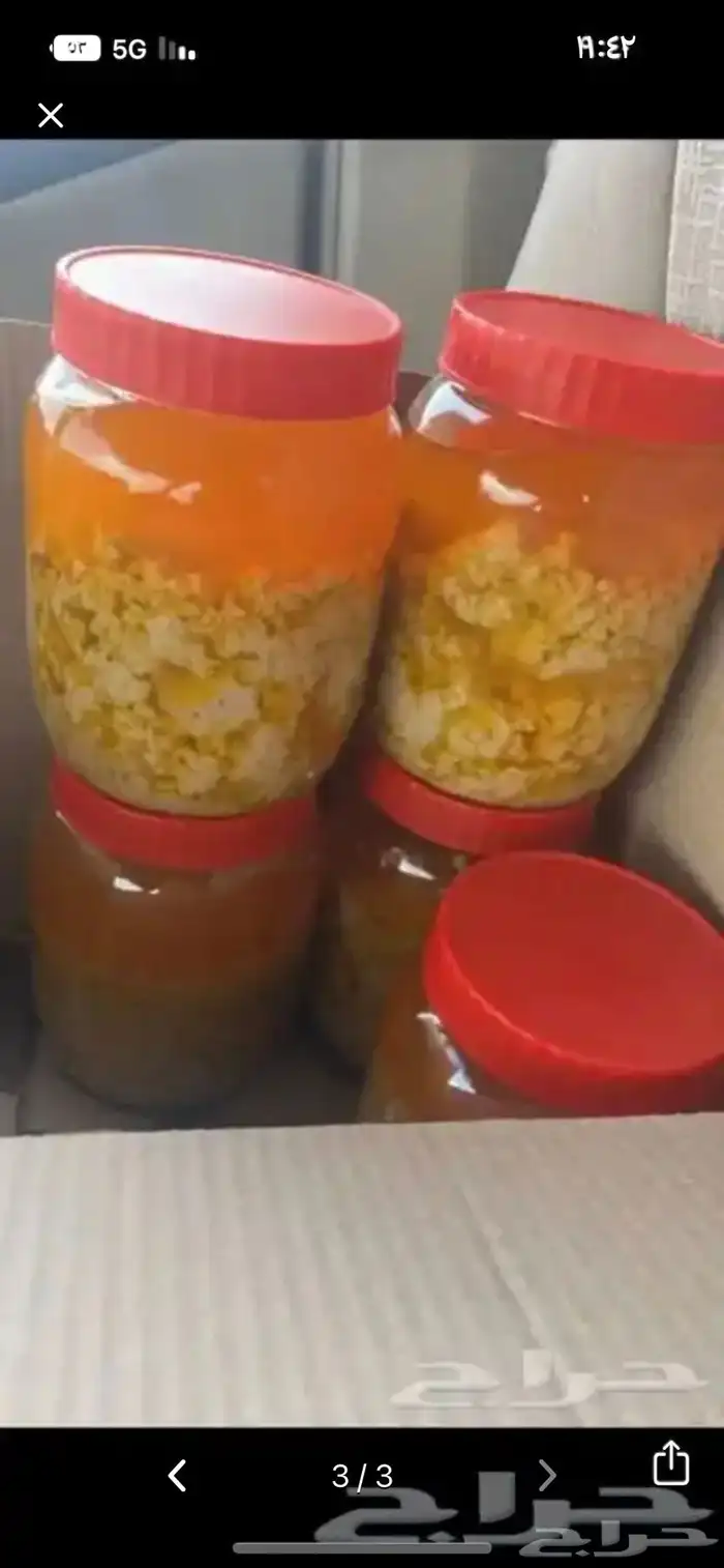 سمن بقر ورضيف 2