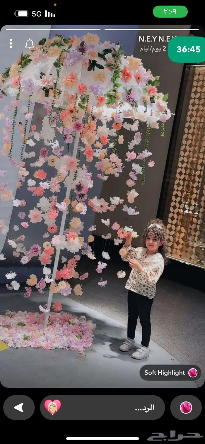 تنسيق حفلات 5