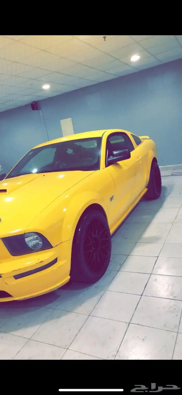 موستنج للبيع 1