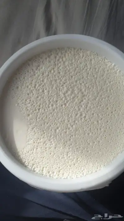 جبنه غنم خاثر غنم زبده غنم قشطه غنم سمن غنم لبنه غنم شرط 12