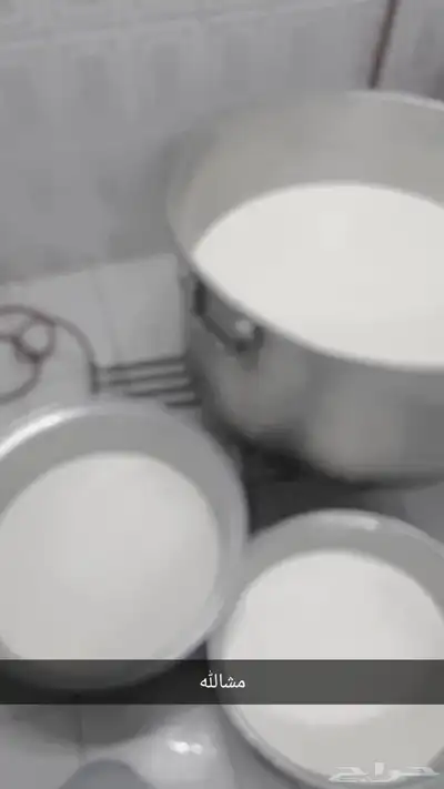 جبنه غنم خاثر غنم زبده غنم قشطه غنم سمن غنم لبنه غنم شرط 19