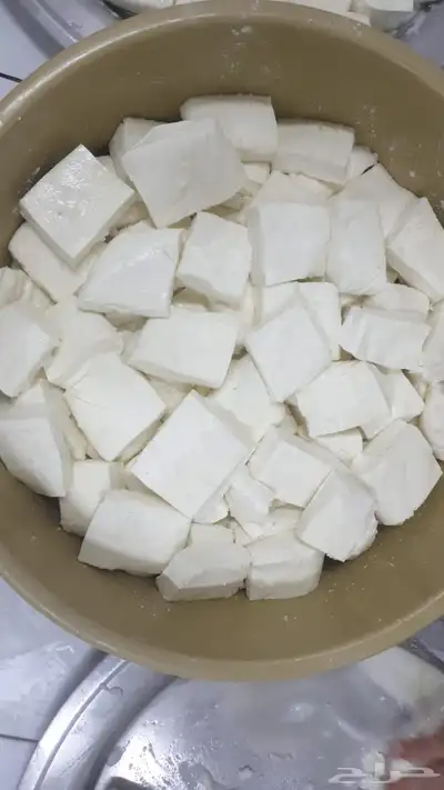 جبنه غنم خاثر غنم زبده غنم قشطه غنم سمن غنم لبنه غنم شرط 17