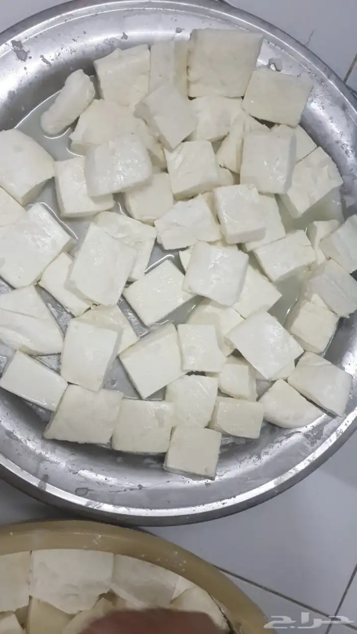 جبنه غنم خاثر غنم زبده غنم قشطه غنم سمن غنم لبنه غنم شرط 18