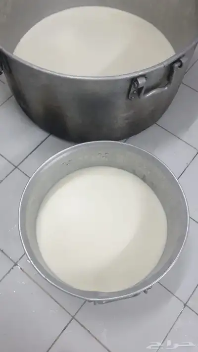 جبنه غنم خاثر غنم زبده غنم قشطه غنم سمن غنم لبنه غنم شرط 6