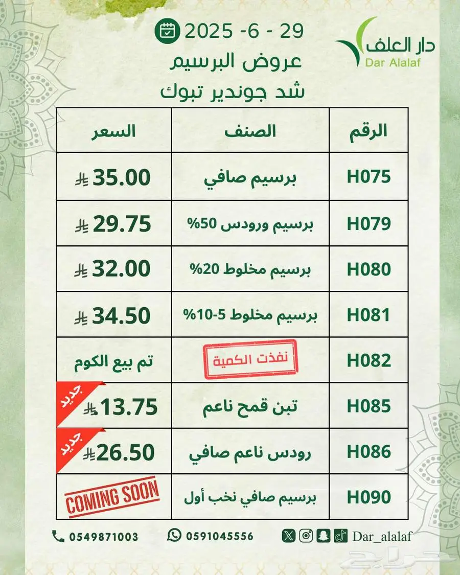 برسيم جوندير تبوك 1