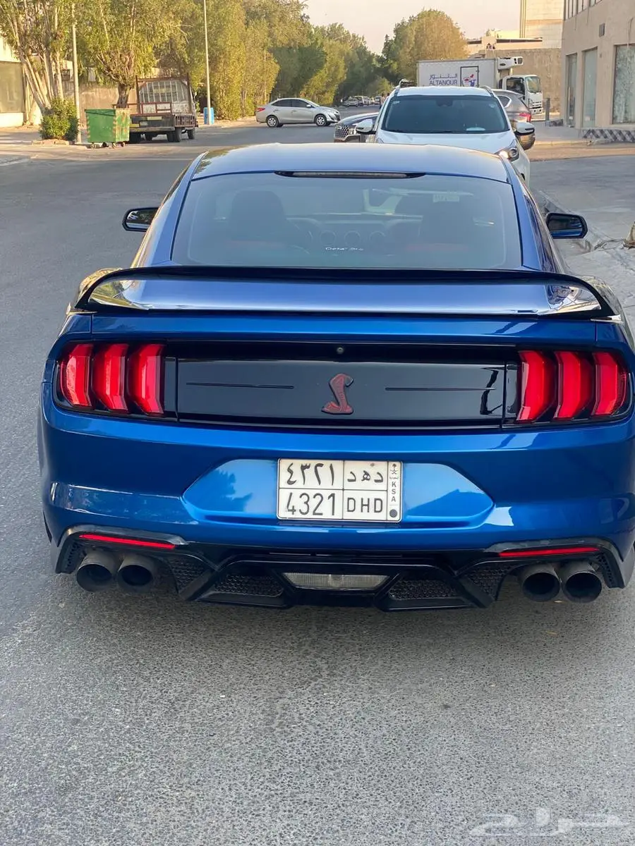 موستنج 2018 1