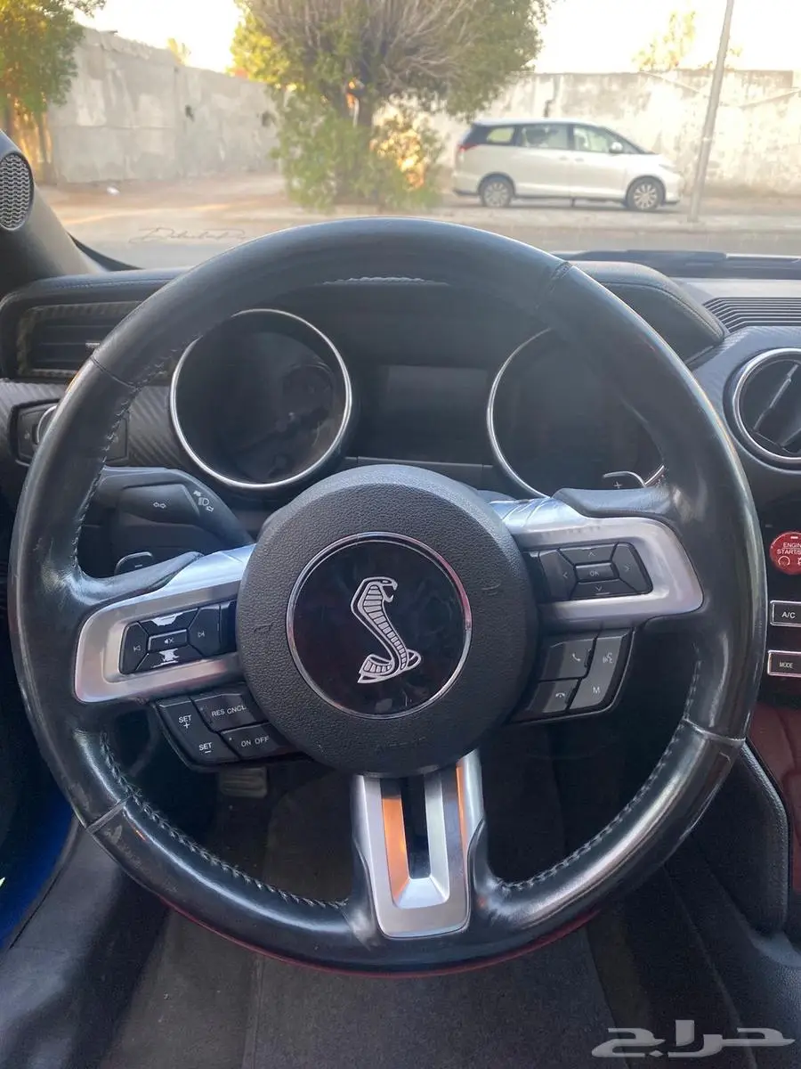 موستنج 2018 6