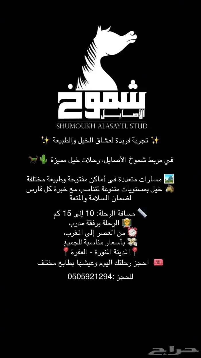 ركوب خيل حر رحلات تدريب تعليم 0