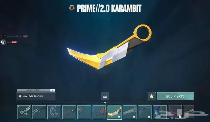 حساب فالورانت بيكه اسيدينت 17