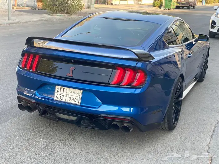 موستنج 2018 3