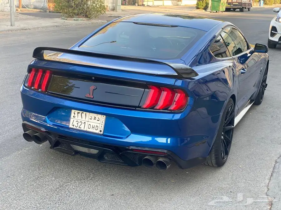 موستنج 2018 3