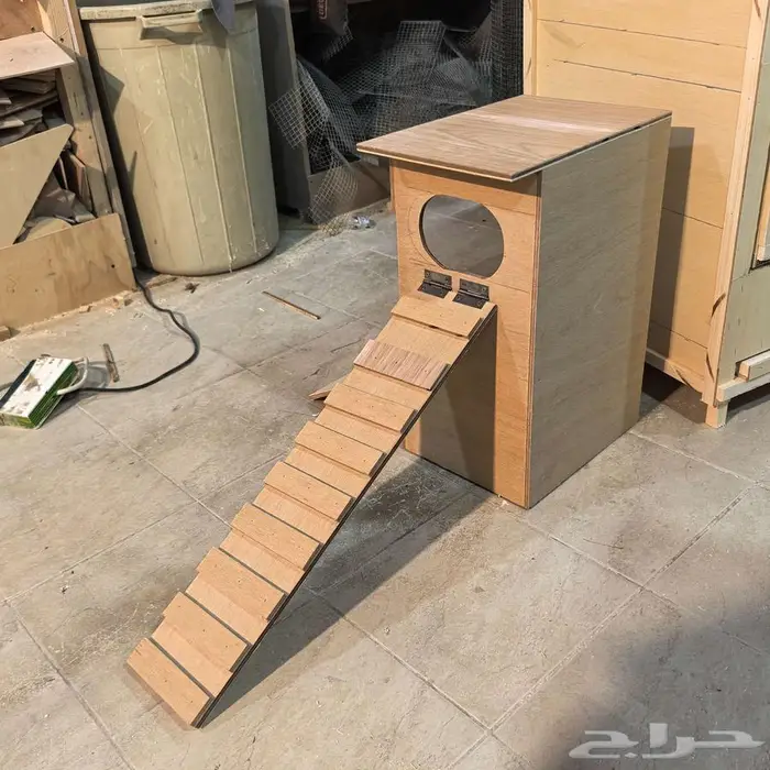بياضة بط المندرين 2