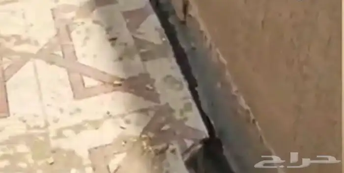 مقاولات عامة 12
