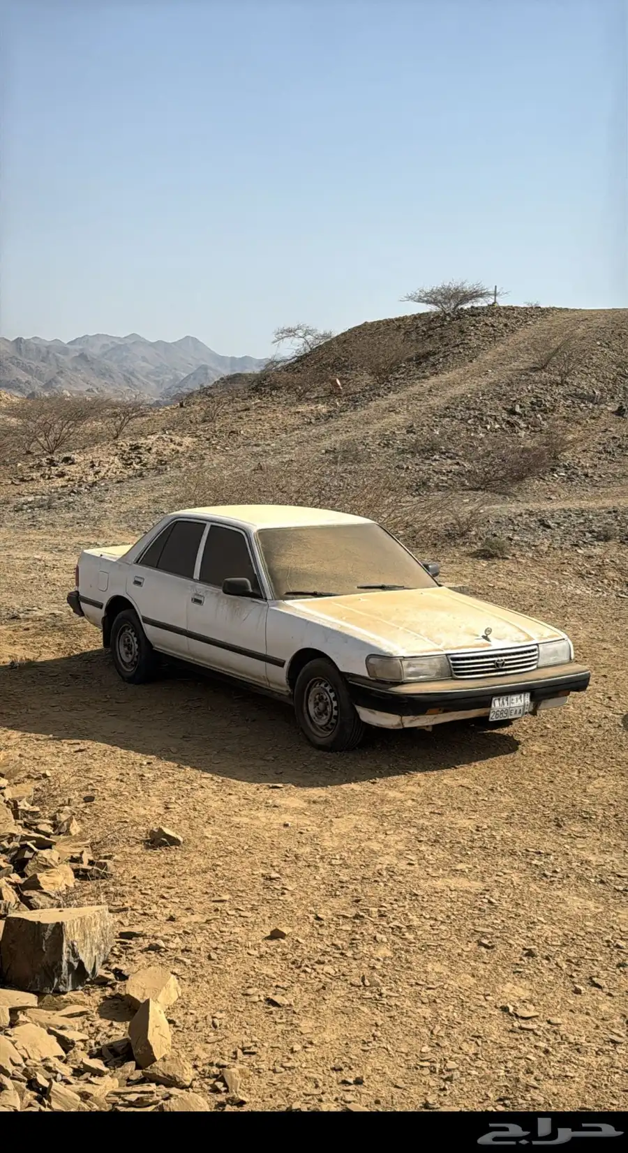 كرسيدا 1992 5