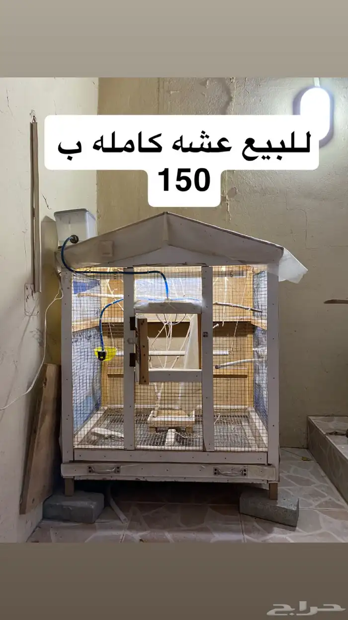 للبيع جلاسه اطفال ودريشه وغلايه و طابعه و عشه 5