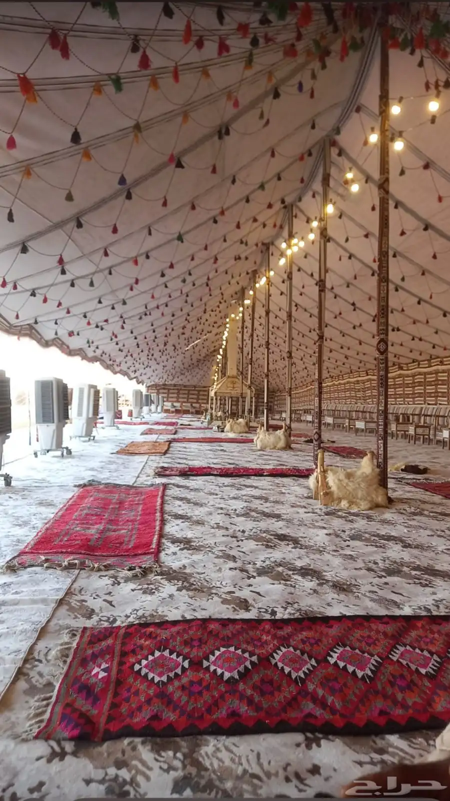 تاجير خيام بيوت شعر 23