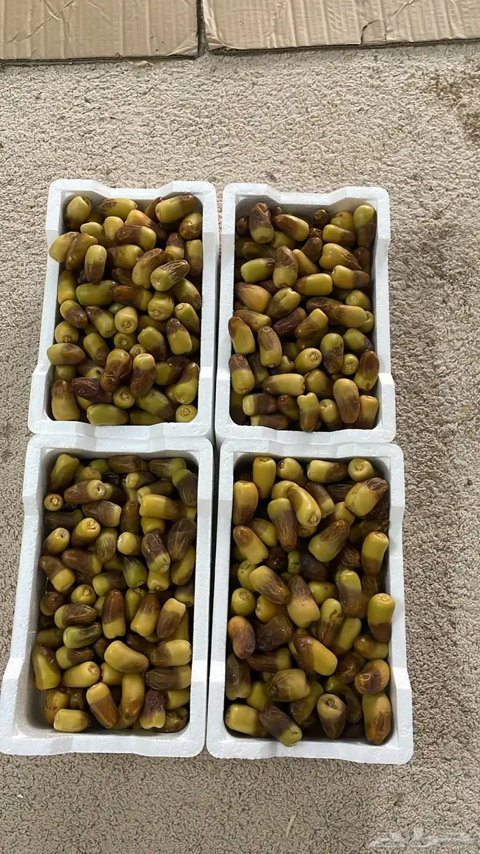 رطب برني فاخر وليمون ابو زهير 1