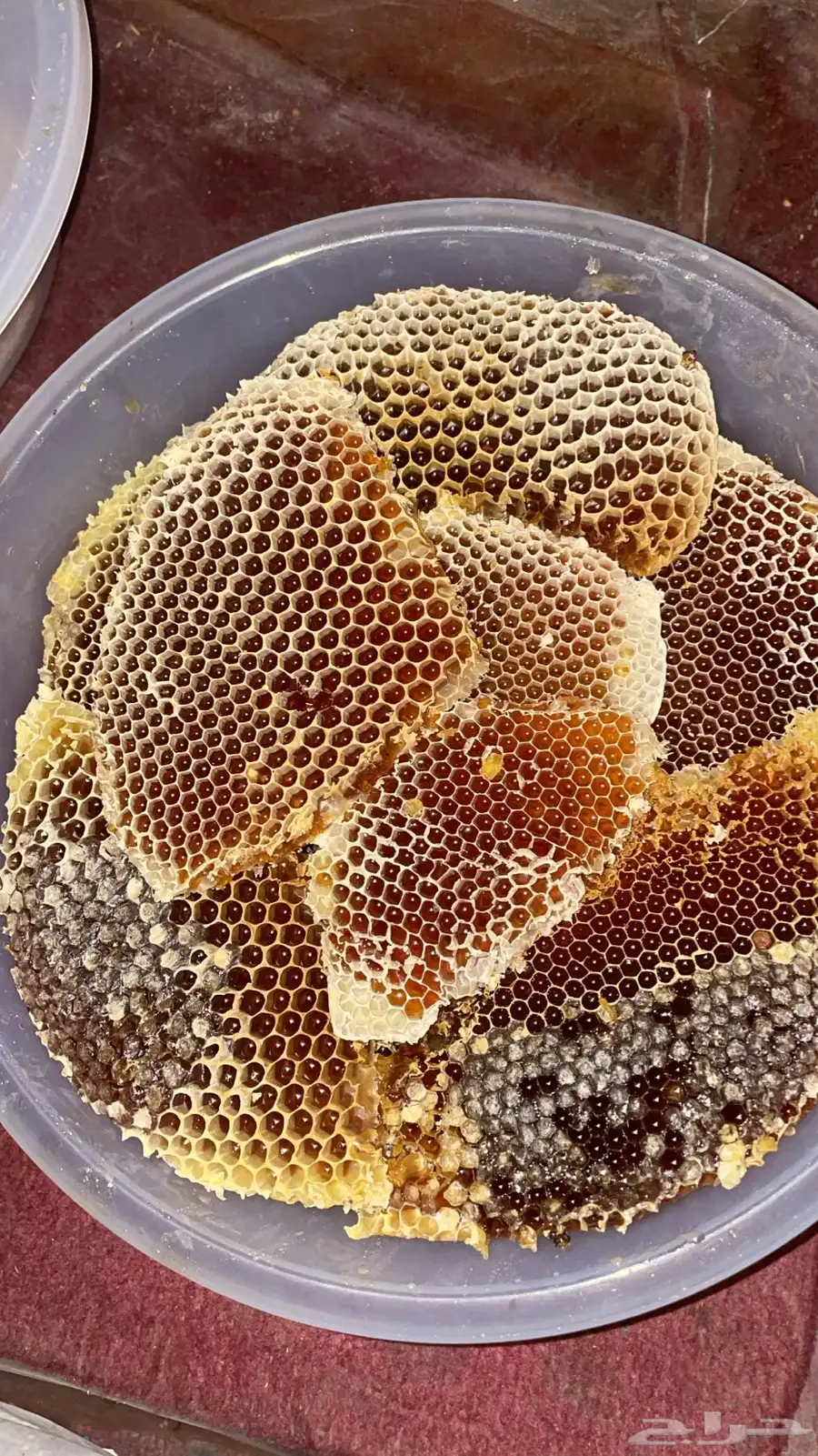 عسل 1