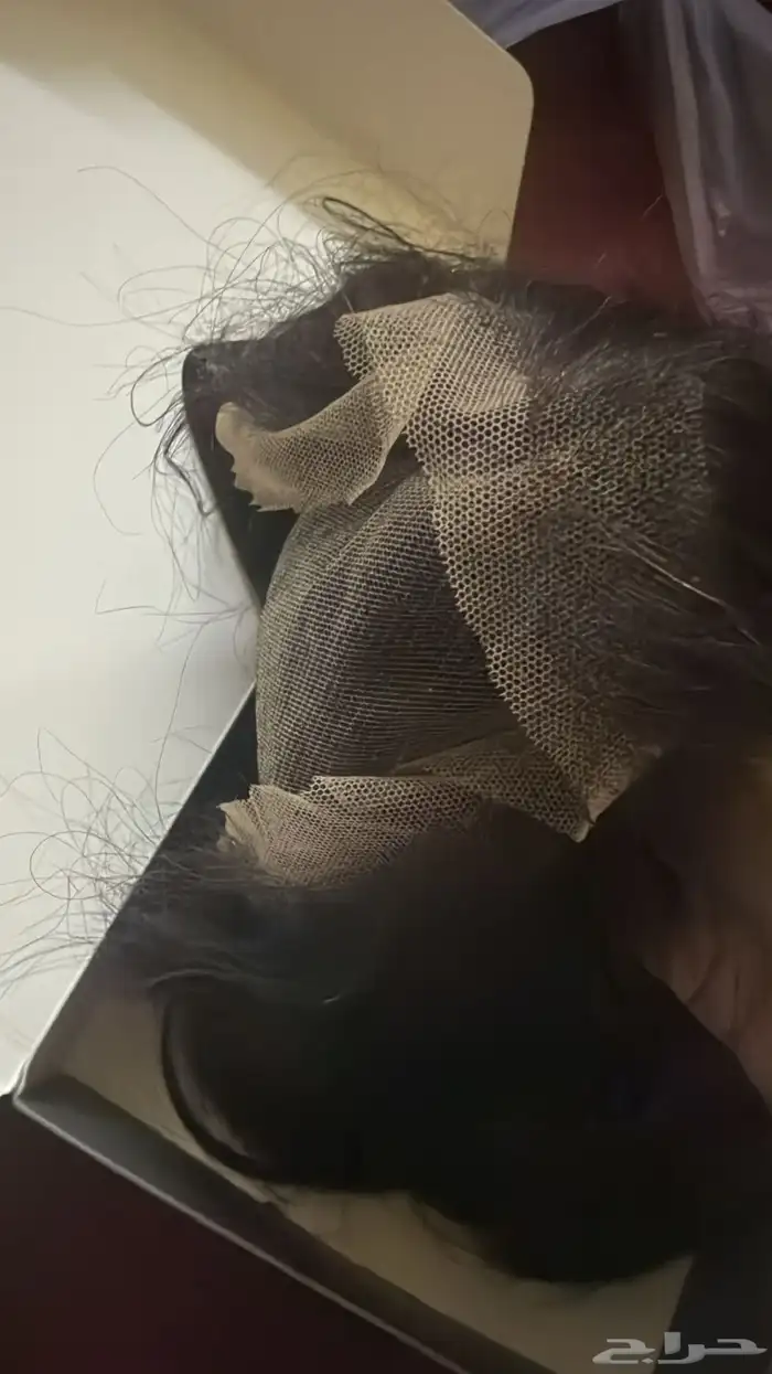 باروكه شعر طبيعي 1