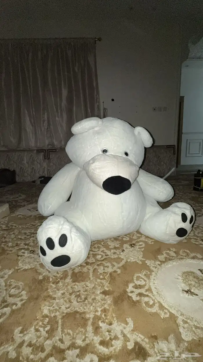 دبدوب للبيع 1