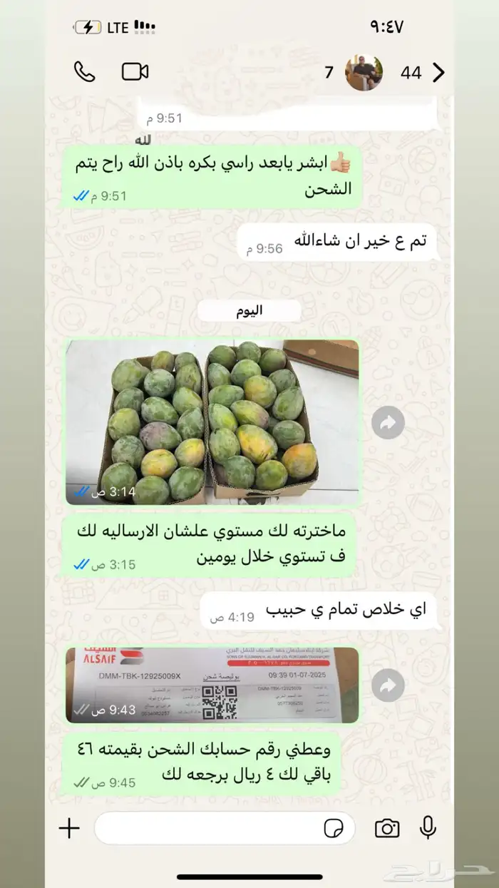 مانجو جيزاني 4