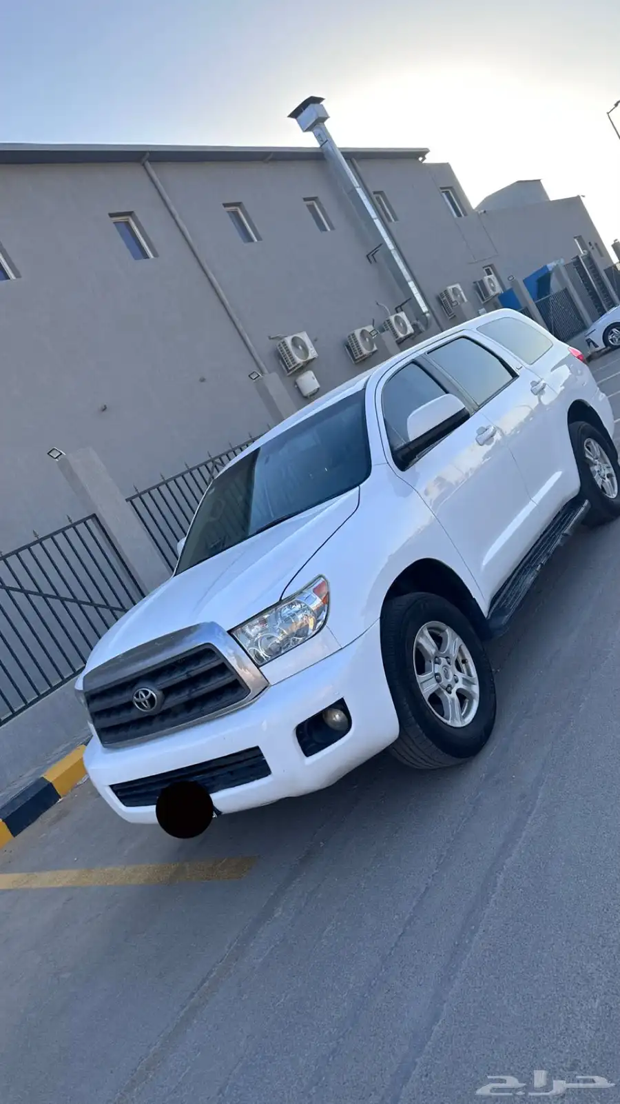 سكويا2013 1
