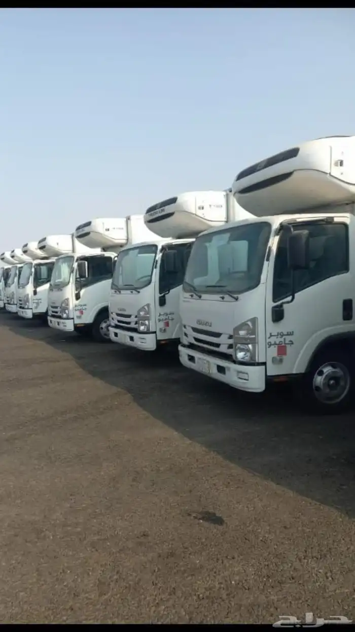 دينا للايجار 0