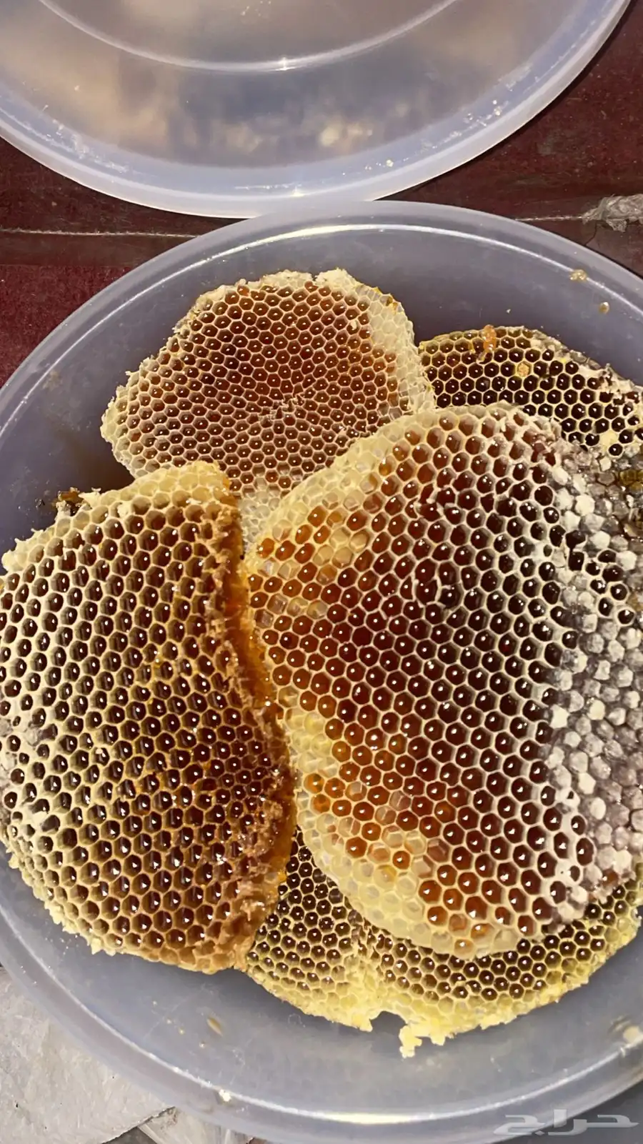 عسل 0