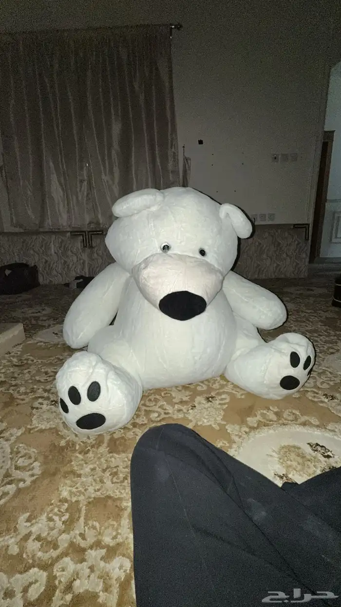 دبدوب للبيع 0