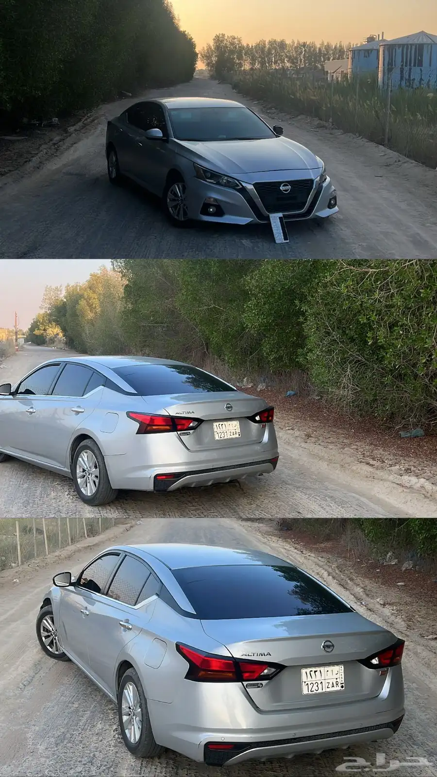 التيما 1
