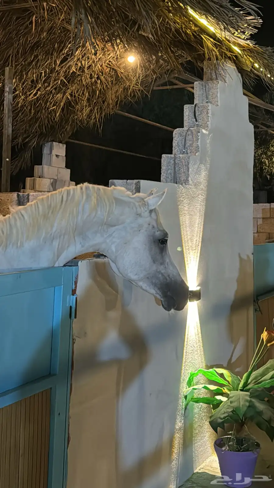 اجار 3