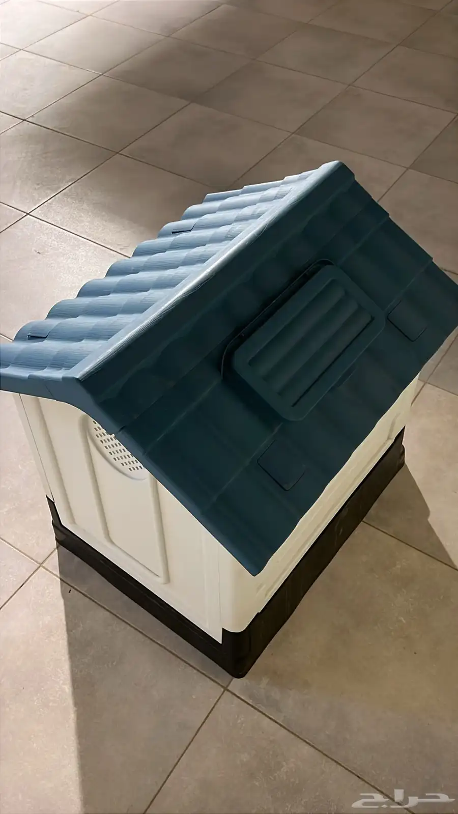بيت قطط 2