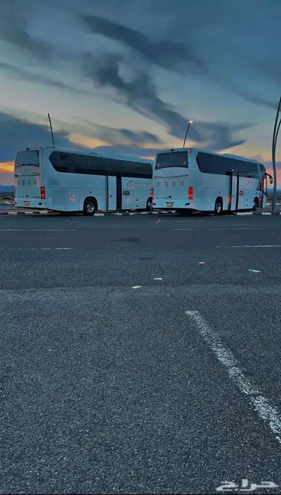 باصات للايجار 0