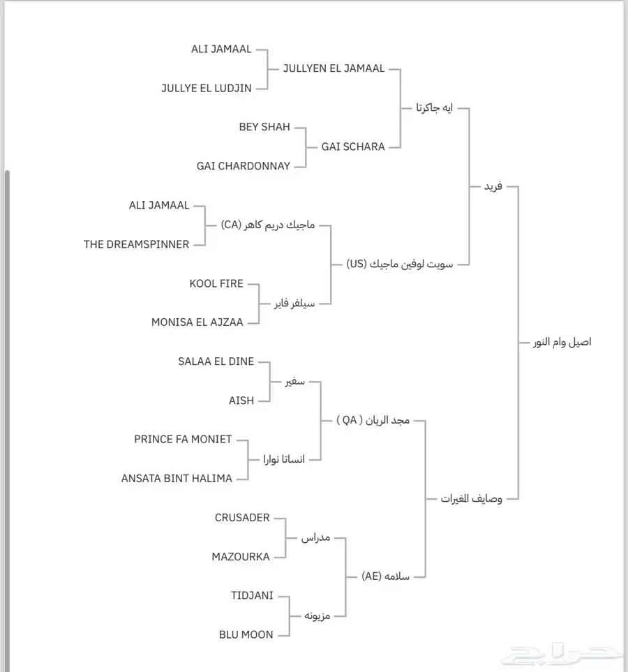حصان واهو 4