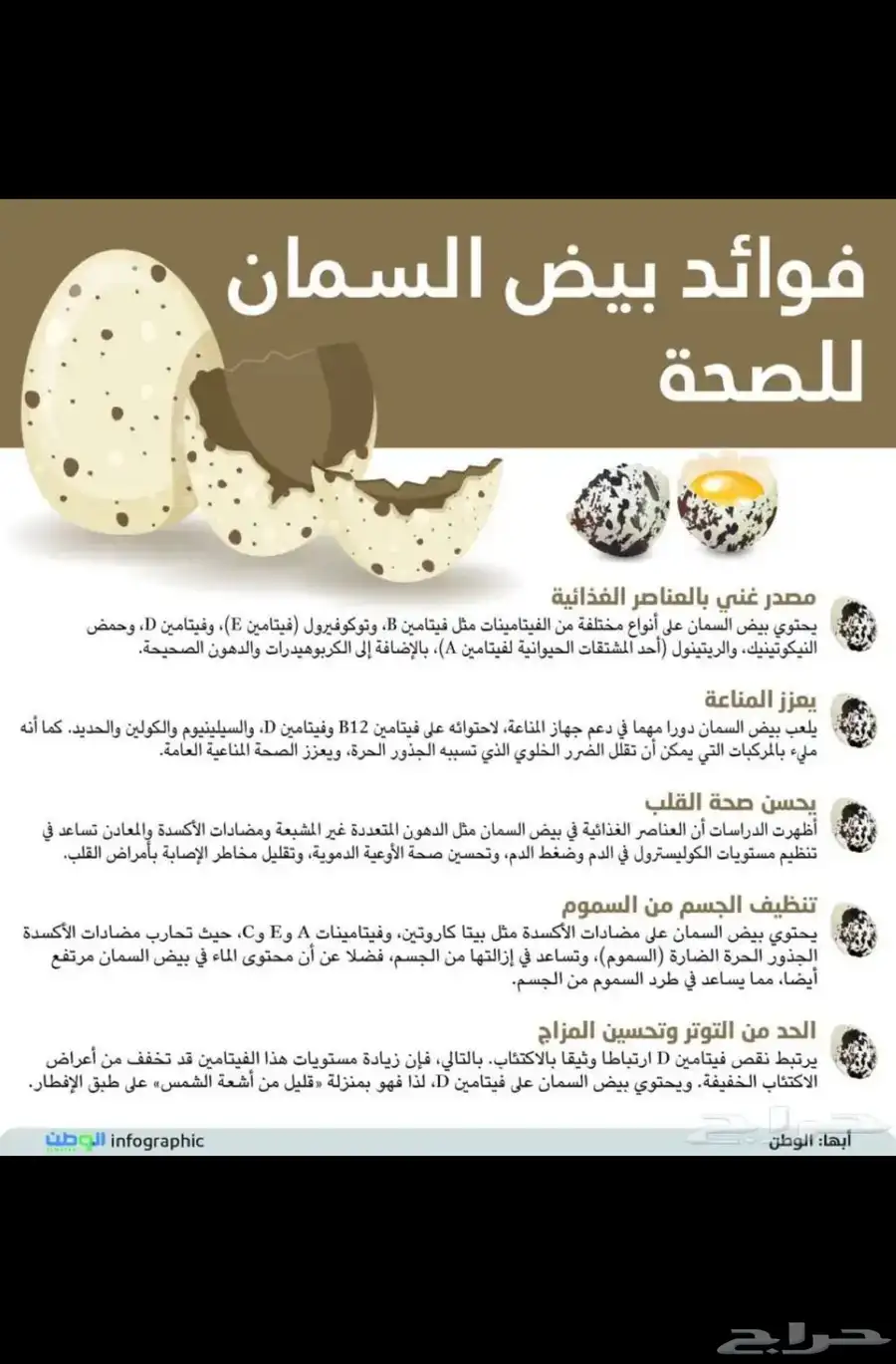 للبيع بيض سمان اوروبي 1