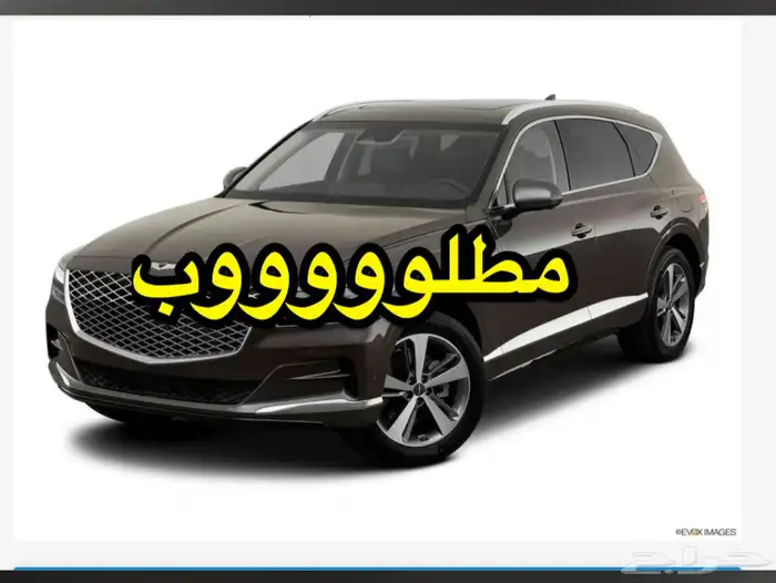 مطلوب جينسس GV80 0