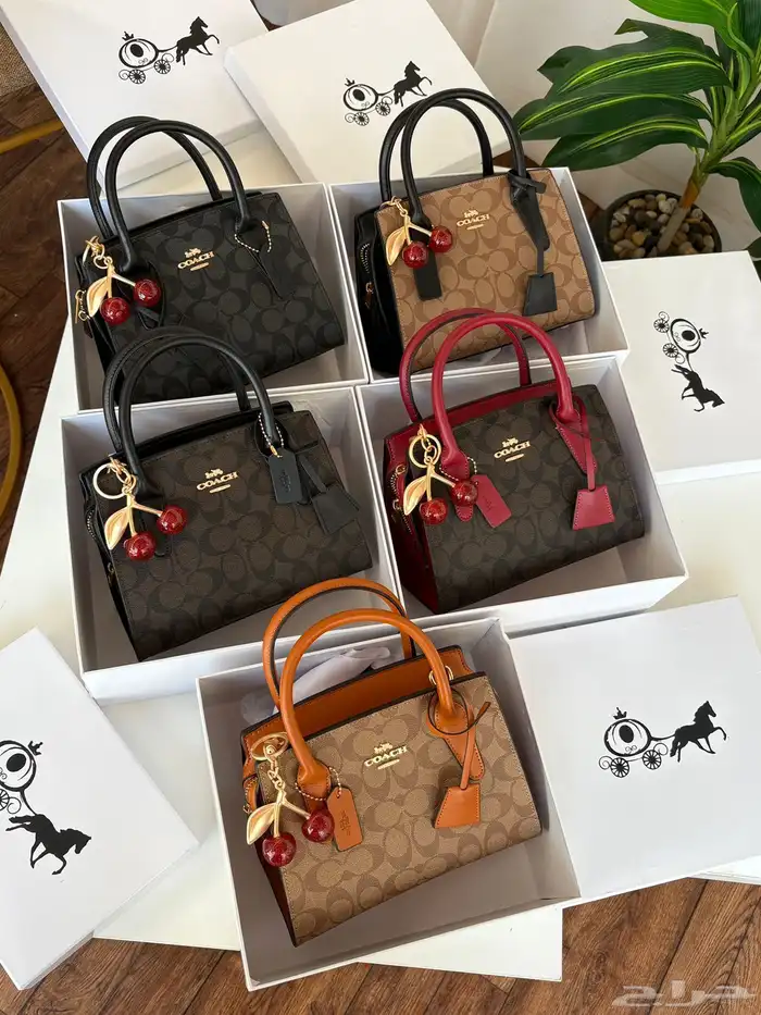 شنط ماركة هاي كواليتي 11