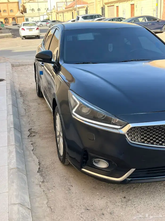 كادينزا 2018 الجبر تم البيع 2
