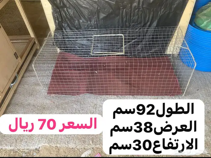 شبوك عرض دواجن 1