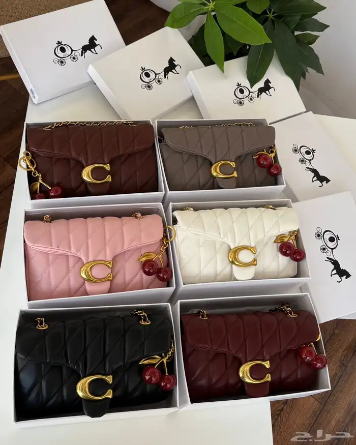 شنط ماركة هاي كواليتي 15