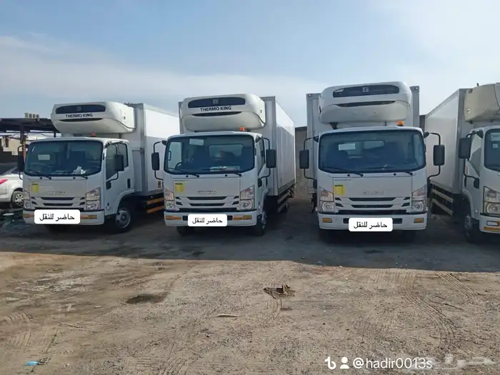 دينا للايجار 0