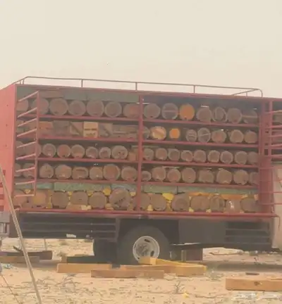 جمس ستيك بدي عدد الخلايا 84 خليه المنحول منها 75 خليه 4
