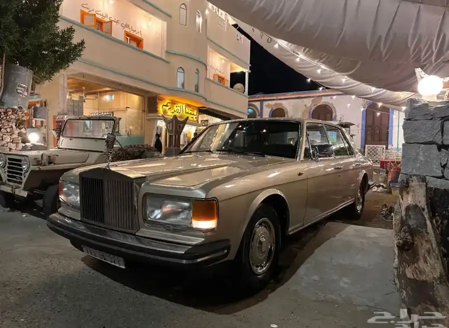 روز رايز ( ممزن ) موديل 1982 0
