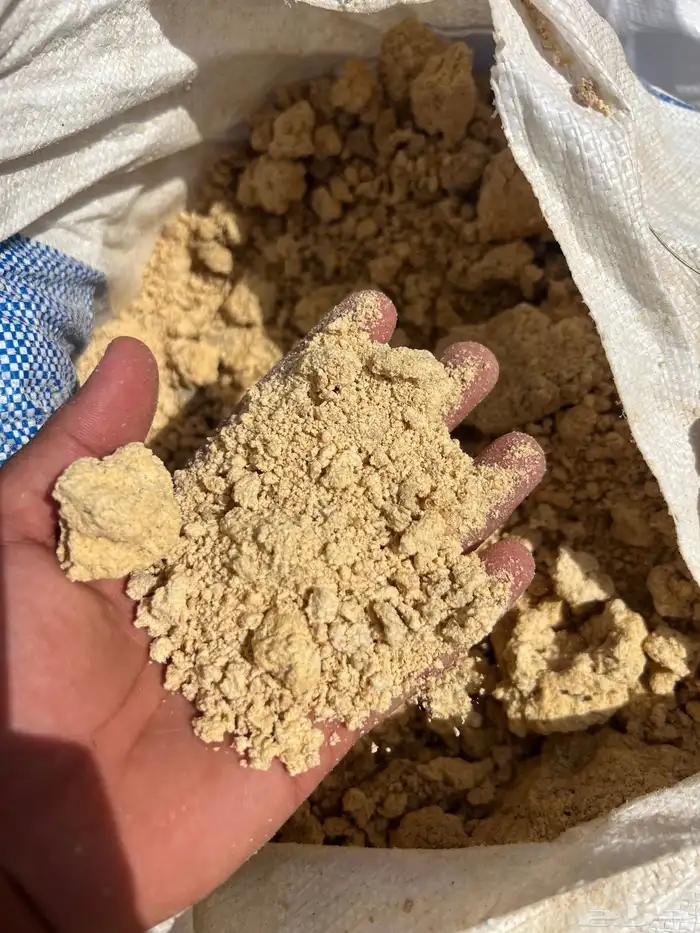 خبز علف ناشف ونظيف للبيع 8