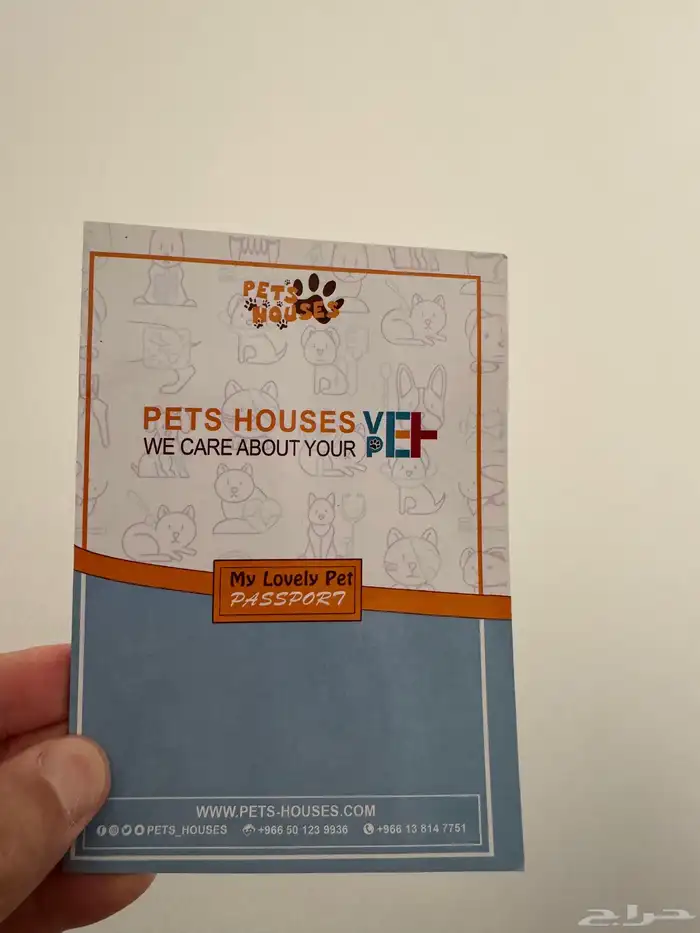 قطتان للتبني 5