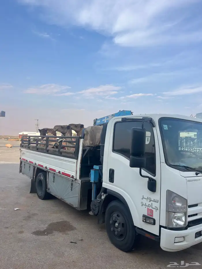 دنة ابل ونش كرين ابل مكاين معدات نخل جميع انحاء المملكه 0
