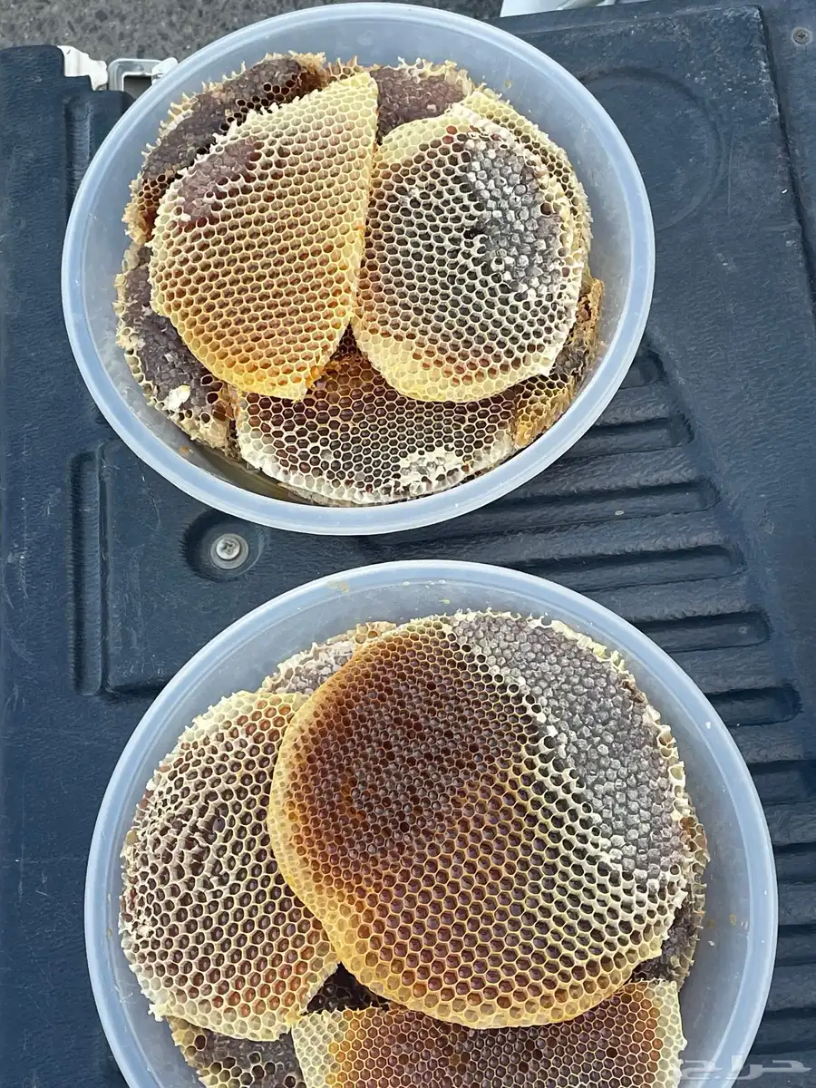 عسل 2